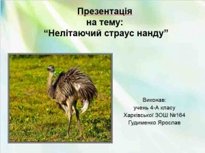 Природозн През 4