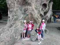 IMG_20170609_111521-