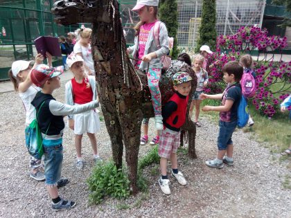 IMG_20170609_113419-