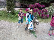 IMG_20170609_113516-