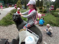 IMG_20170609_121253-